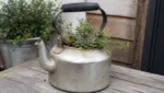 Wasserkocher als Pflanzgefäß & Deko upcyclen